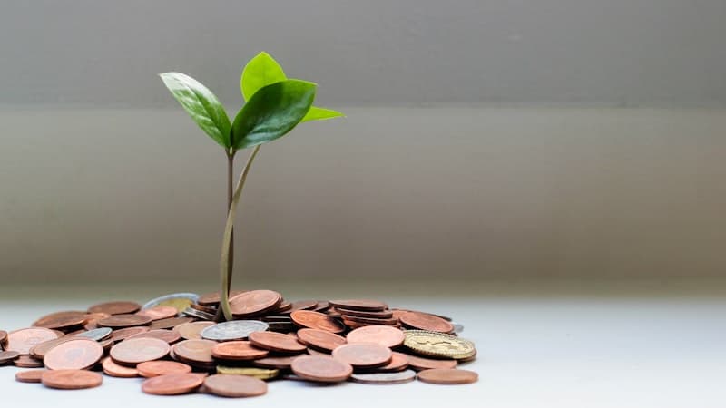 Piggy bank with stacked coins for savings
